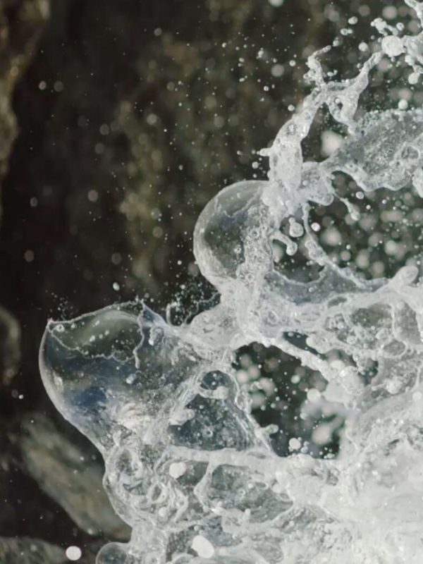 Stella_Sustain_07